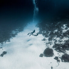 Fakarava diving