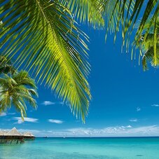 Spacifica Travel Hotel Kia Ora Resort and Spa