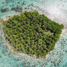 French Polynesia - Stéphane Mailion