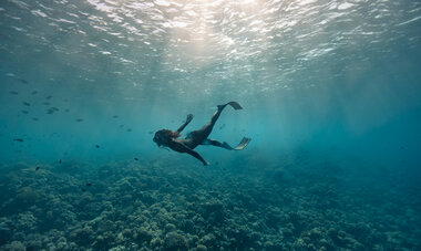 Fakarava diving