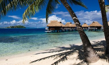 Maitai Polynesia Bora Bora-T LMP1
