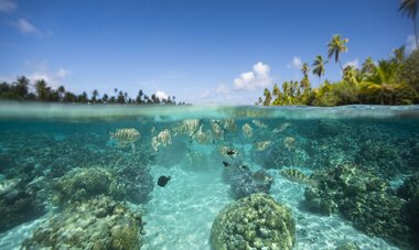 snorkeling en Polynésie