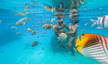 Ultimate shark and ray watching Bora Bora