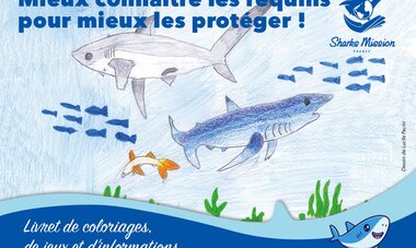 Livret Sharks Mission France