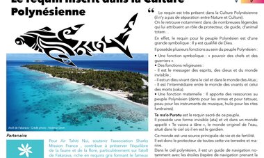 Livret Sharks Mission France