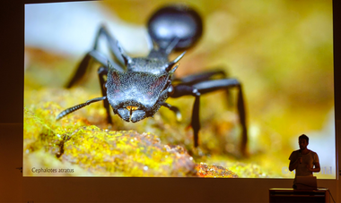 Conférence Proscience Tahiti