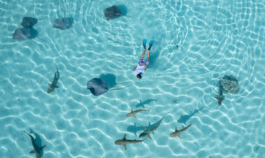 moorea ray
