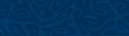 Banner-dblue