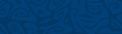 Banner-dblue
