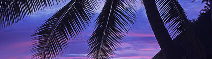 Air Tahiti Nui Rangiroa Sunset GLeBacon