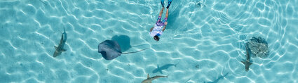 moorea ray